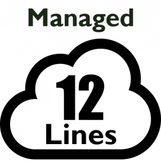 Managed PBX - 12 Lines (Most Calls Included)