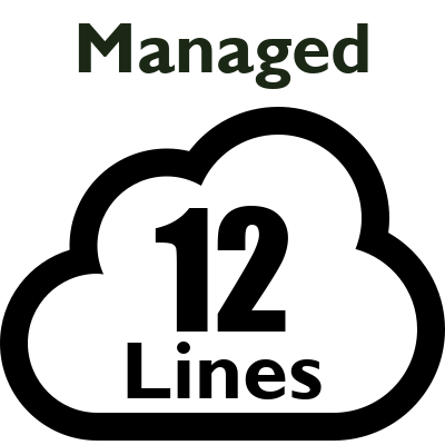 Managed PBX - 12 Lines (Most Calls Included)
