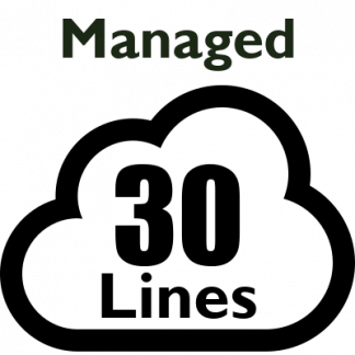 Managed PBX - 30 Lines (Most Calls Included)