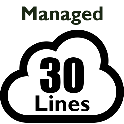 Managed PBX - 30 Lines (Most Calls Included)