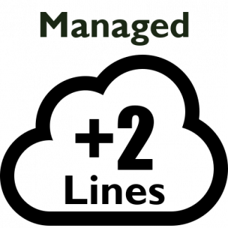 Managed PBX - 2 Extra Lines